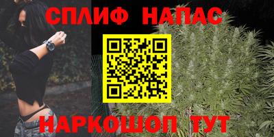 прущие грибы Ипатово