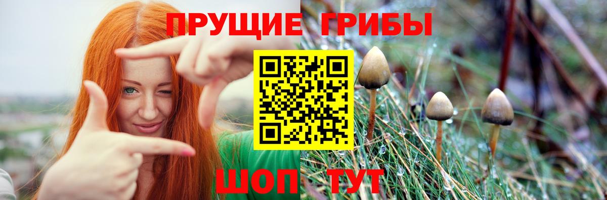 Галлюциногенные грибы GOLDEN TEACHER  цена   Вход с VPN  Лысьва  Галлюциногенные грибы GOLDEN TEACHER 